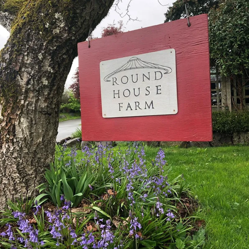 The red Roundhouse Farm sign hanging from a tree above a bed of bluebells
